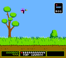 Vs. Duck Hunt background