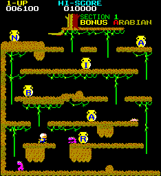 https://resource0.consolegame.org/arcade/thumb/arabian.png