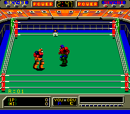 https://resource0.consolegame.org/arcade/thumb/robowres.png