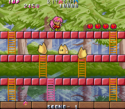 https://resource0.consolegame.org/arcade/thumb/rodland.png