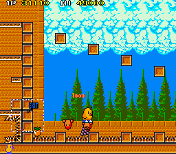 https://resource0.consolegame.org/arcade/thumb/tnzsop.png