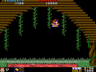 https://resource0.consolegame.org/arcade/thumb/wardner.png