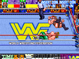 https://resource0.consolegame.org/arcade/thumb/wwfwfestk.png