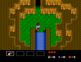 Startropics (USA) background