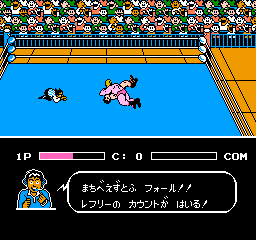 Gekitou Pro Wrestling!! - Toukon Densetsu (Japan) background