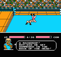 Tecmo World Wrestling (USA) background