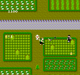 Ikki (Japan) background