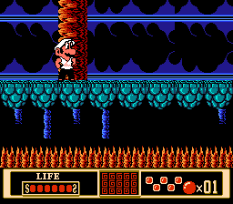 Super Bros. 10: Kung Fu Mari background