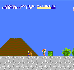 Mystery Quest (USA) background