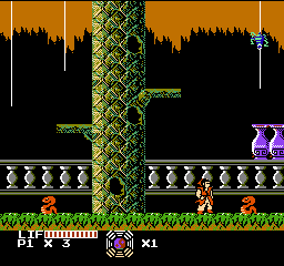 Master Chu & The Drunkard Hu (USA) (Unl) background
