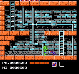 Teenage Mutant Ninja Turtles (USA) background