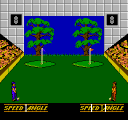 Double Dare (USA) background