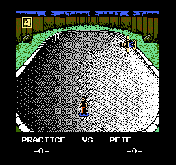 Skate or Die! (USA) background