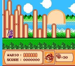 Wario Land II background