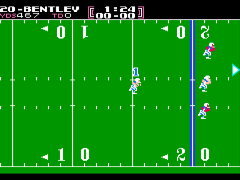 Tecmo Bowl (USA) (Beta) background