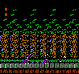 Castlevania II - Simon's Quest (USA) background