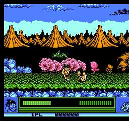 Joe & Mac - Caveman Ninja (Europe) background