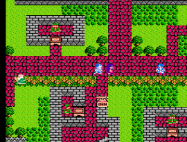 Dragon Quest III - Soshite Densetsu e... (Japan) (Rev B) background