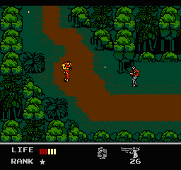 Snake's Revenge (USA) background