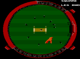 International Cricket (Australia) (Beta) background